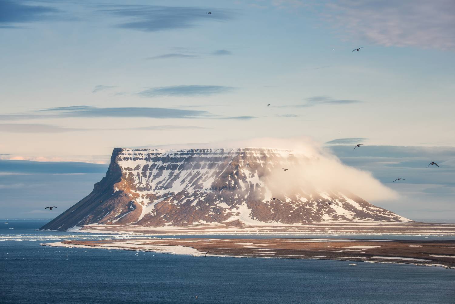арктика, Земля Франца-Иосифа, Александр Ермолин