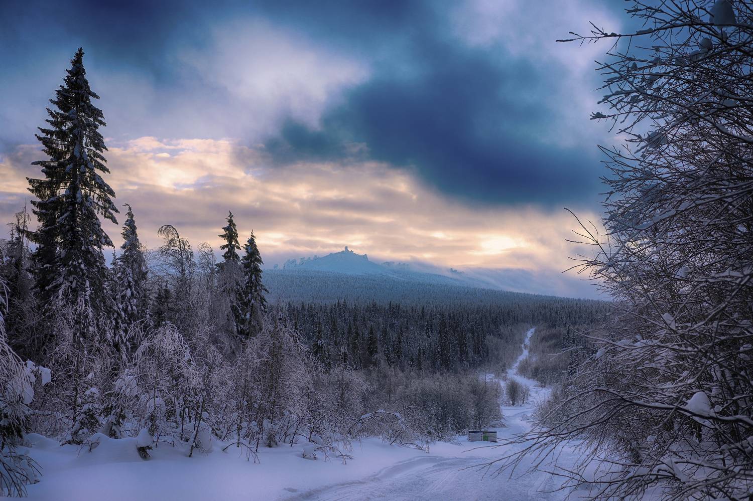 , Павел Мартюшев