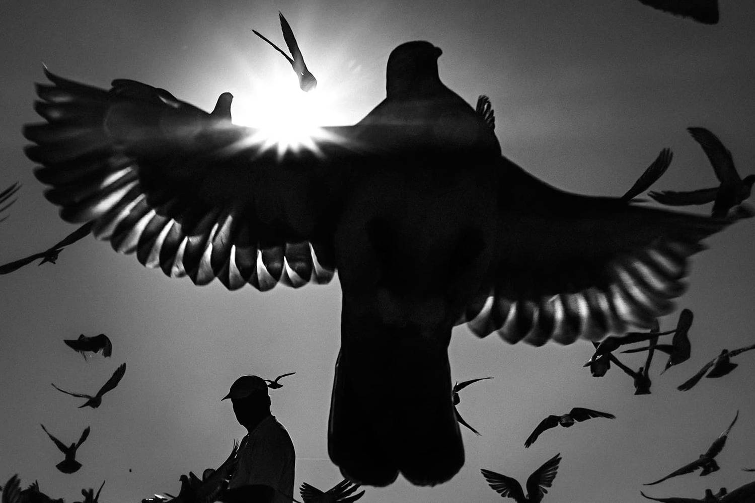 , Denis Buchel (Денис Бучель)