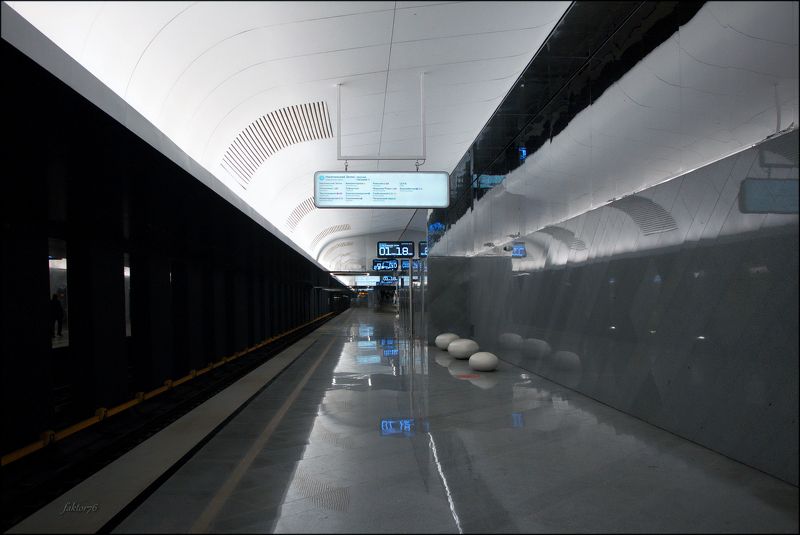 станция метро Кленовый бульвар Москва фото превью