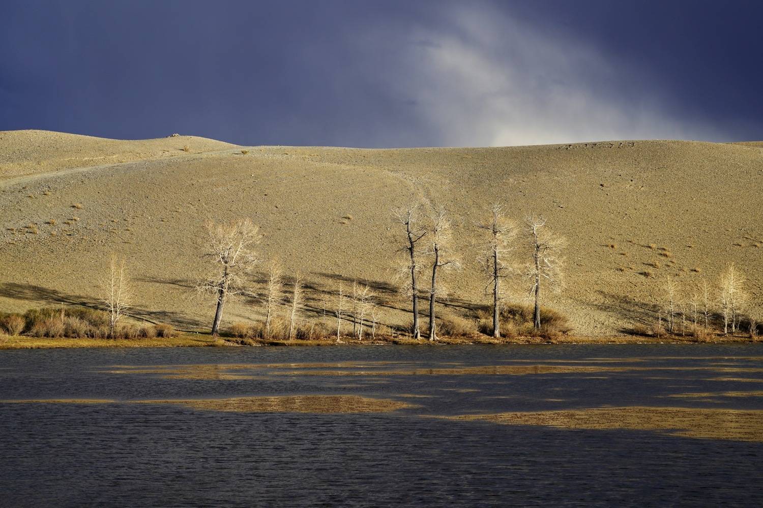 , Кузнецов Андрей