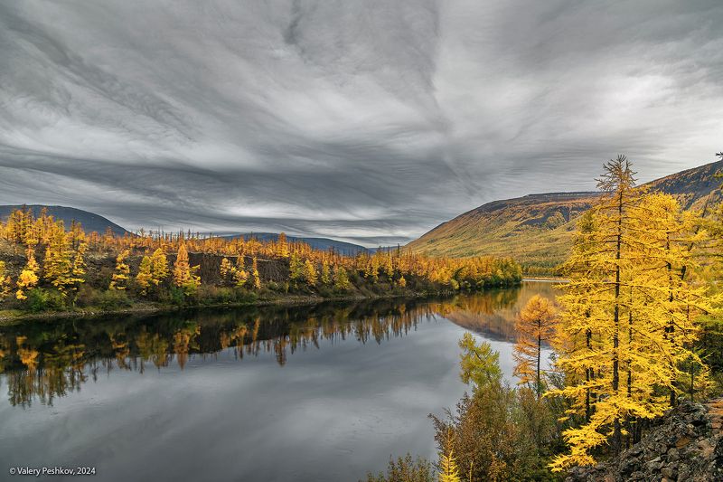 плато путорана, осень, облака, asperitas, асперитас, необычные облака, лиственницы, курейка, таймыр, заполярье, база коваля, владимир коваль Два состояния фото превью