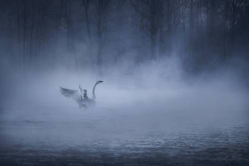 Призрачно всё....