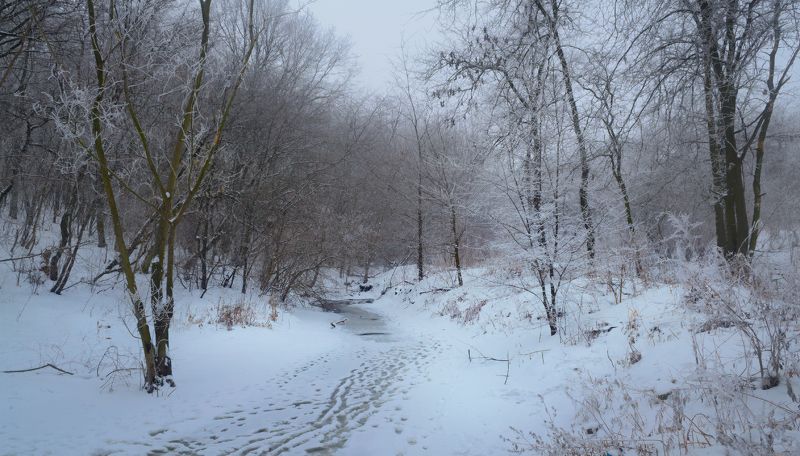 Зимняя речка. фото превью