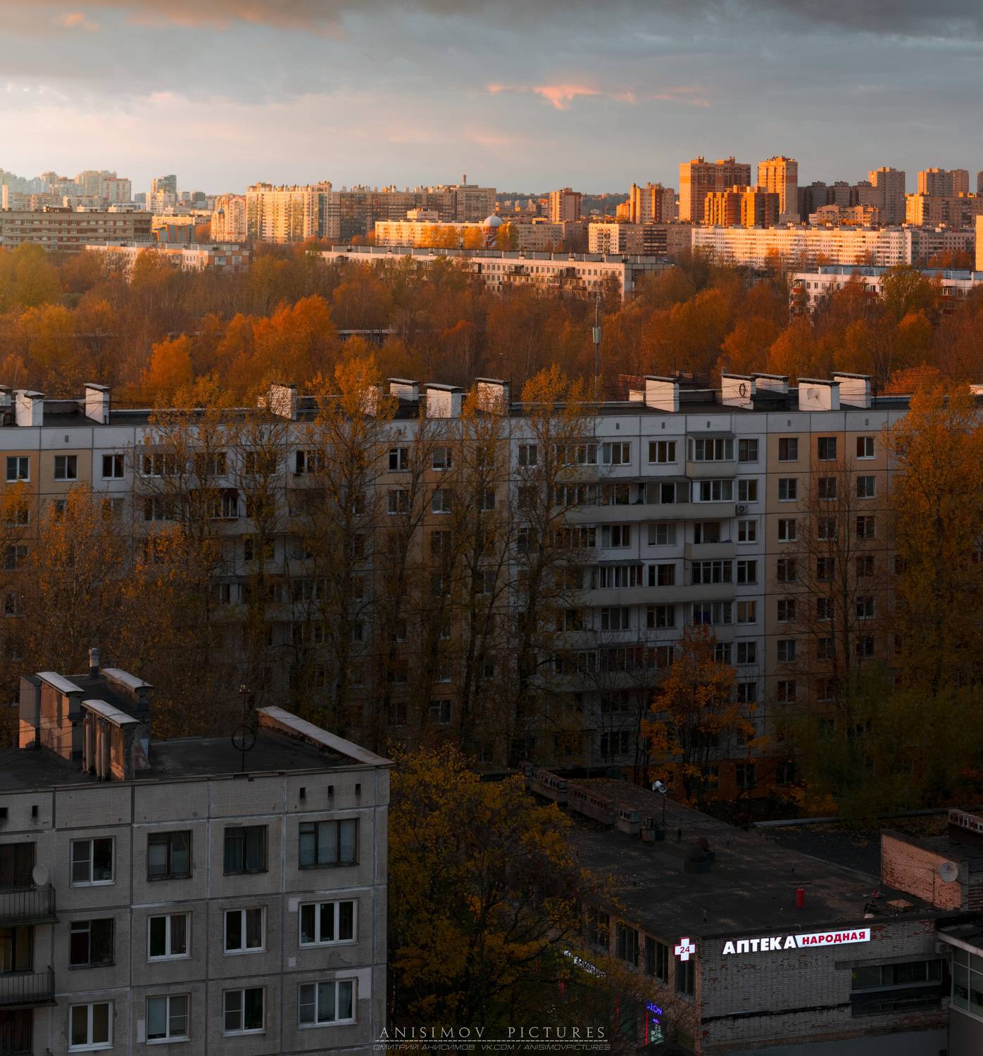 осень, санкт-петербург, Dmitriy Anisimov