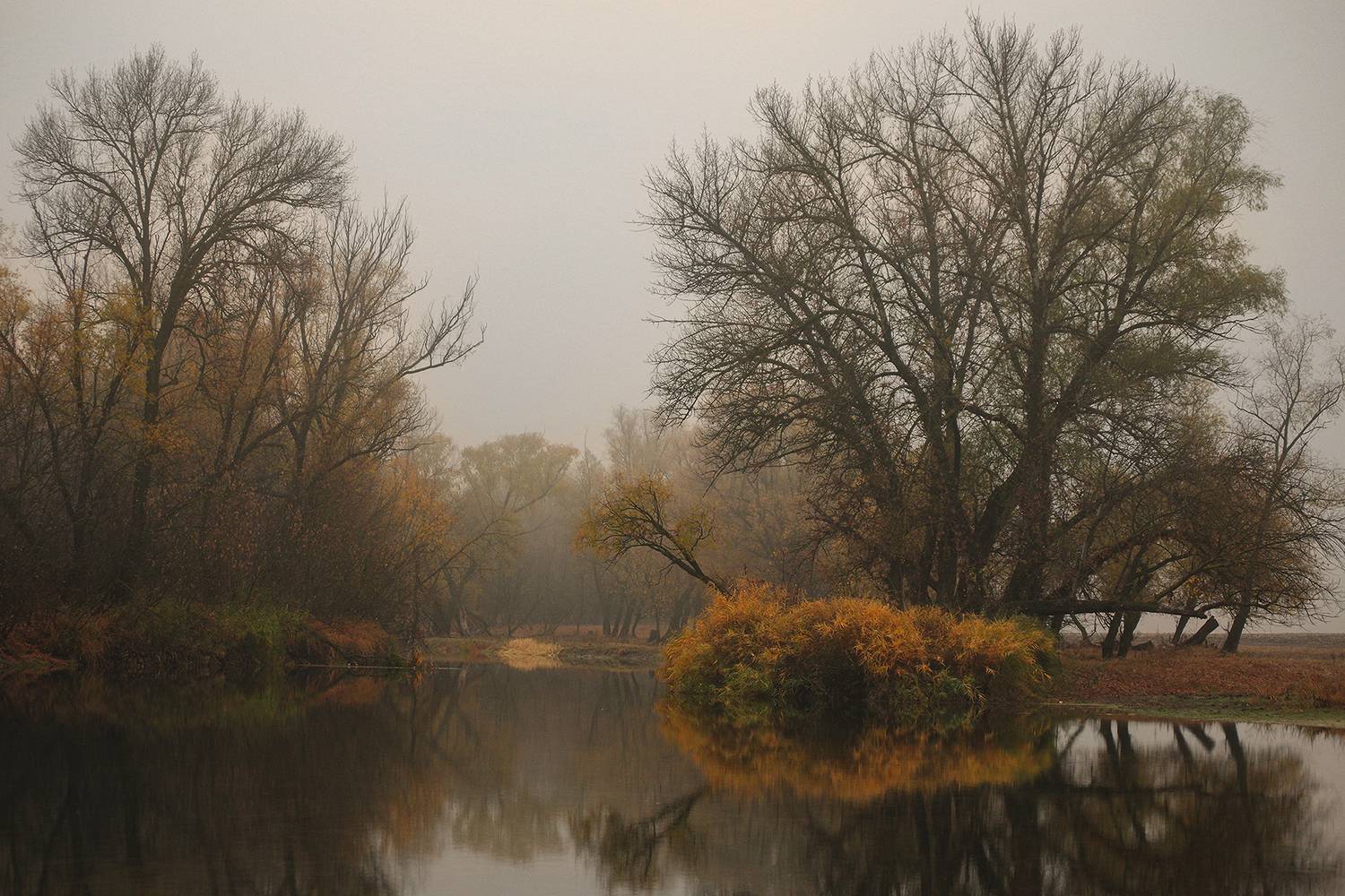 природа, Валерий Черняк