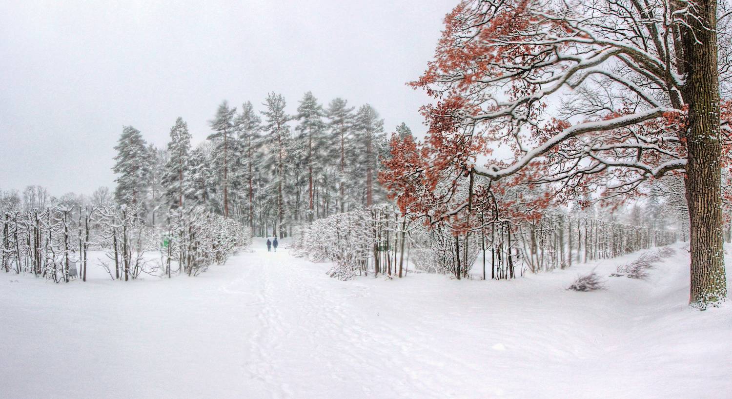 , Сергей Григорьев