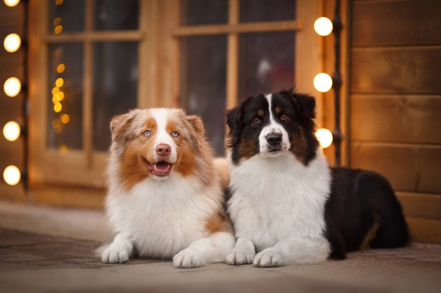 , Евгения Костусева