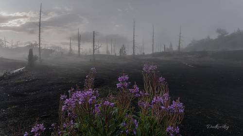 Рассвет