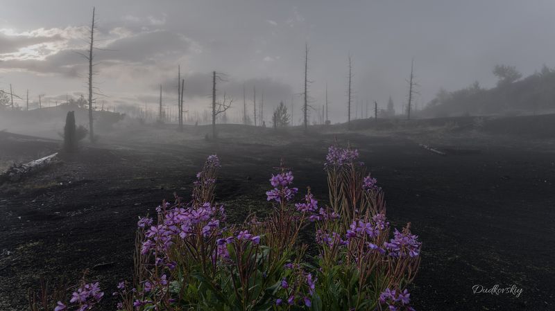 Рассвет фото превью
