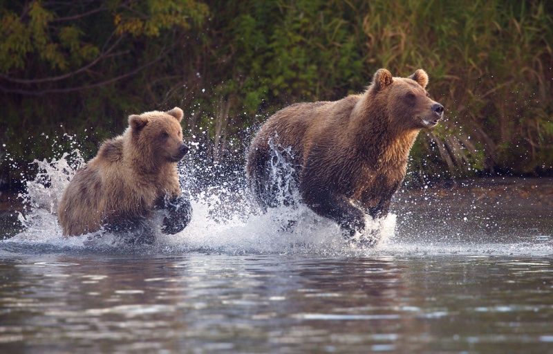 Мамуля, я тебя догоняю) фото превью
