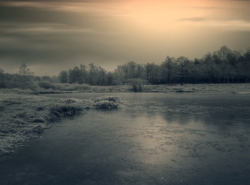 пейзаж, природа, осень, лес, пруд, лед, небо, облака Осенние зарисовки V фото превью