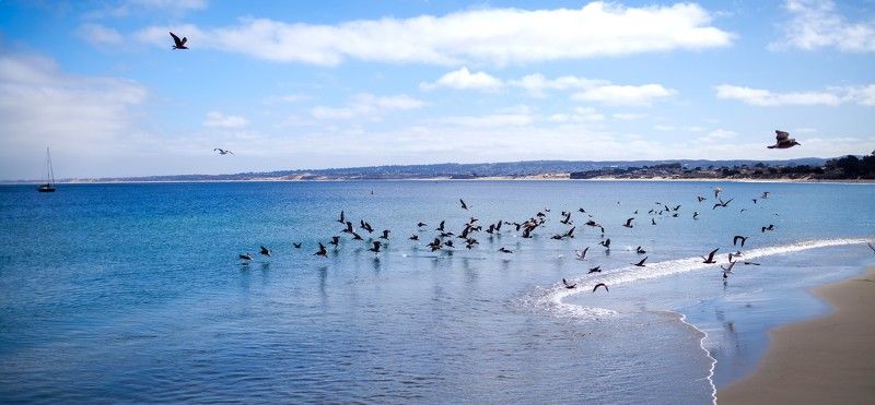 Монтеррей Monterrey фото превью