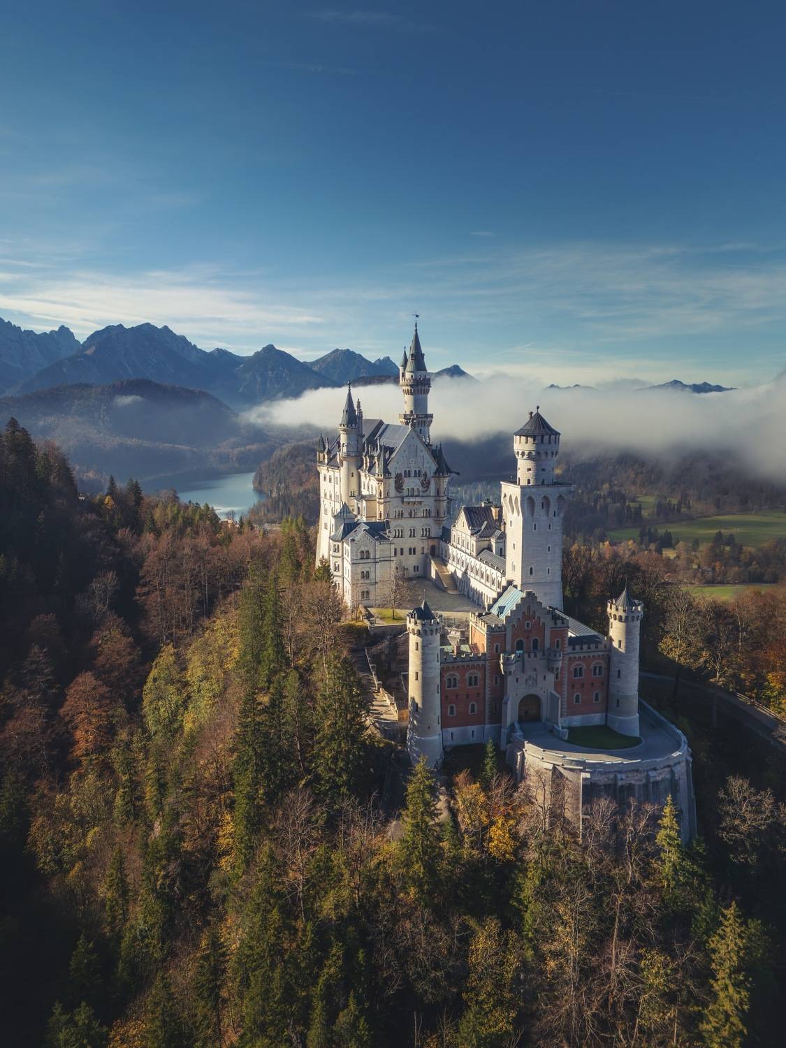 , Шимаковский Юрий