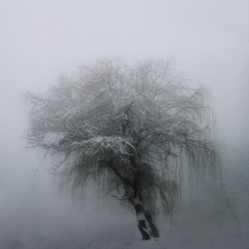 Untitled фото превью