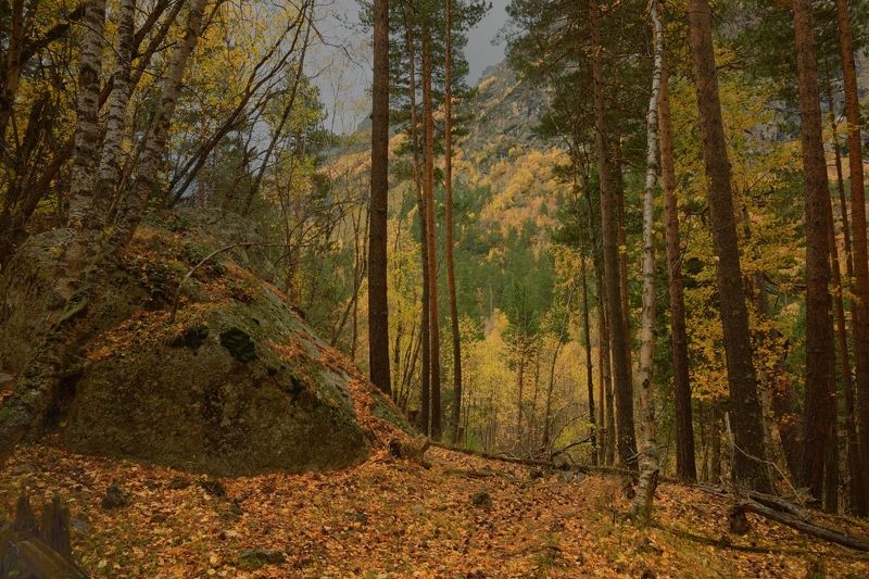 Осень в Узунколе фото превью