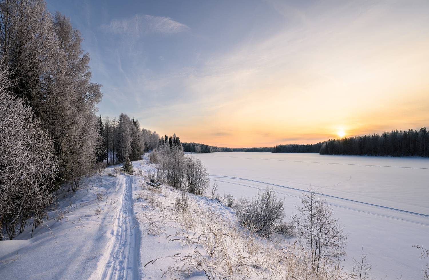 , Алексей Турчин
