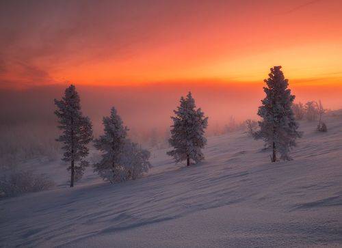 на рассвете