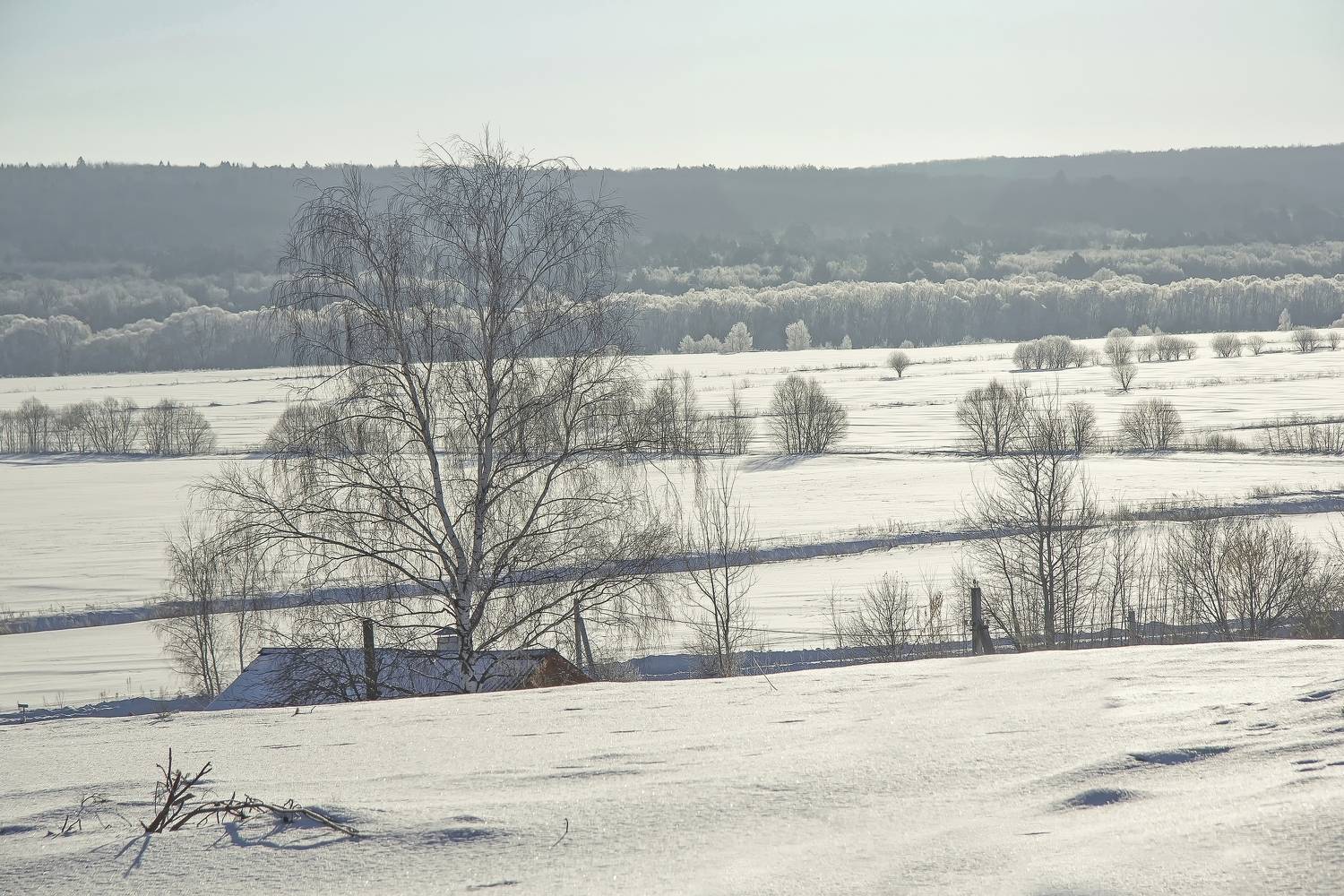 , Лайко Марина