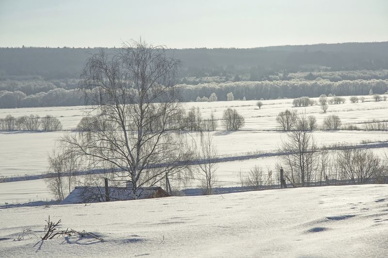В Рождество все немного волхвы (с) фото превью