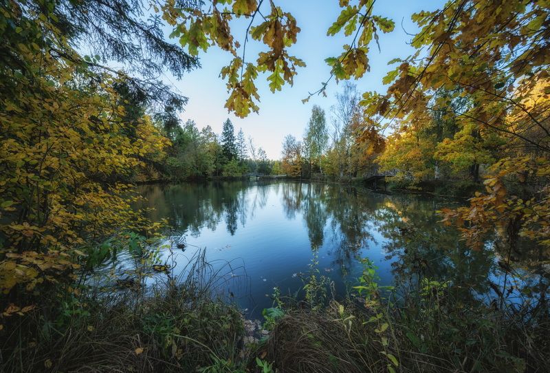 Подмосковная осень в Абоамцево фото превью