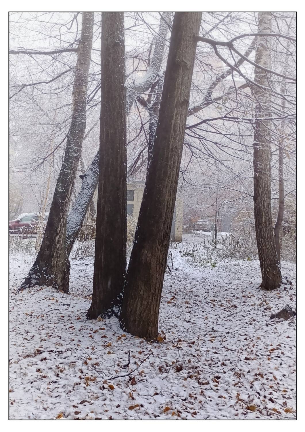 , Герасимова Алёна