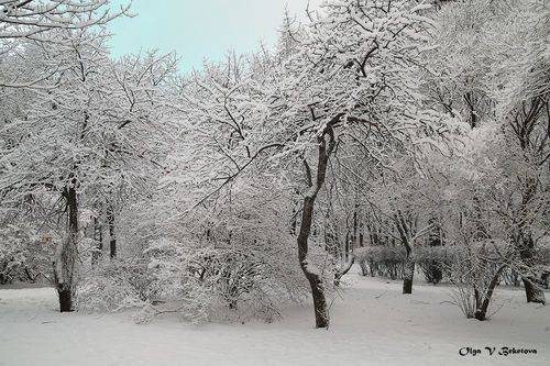 С Рождеством!!