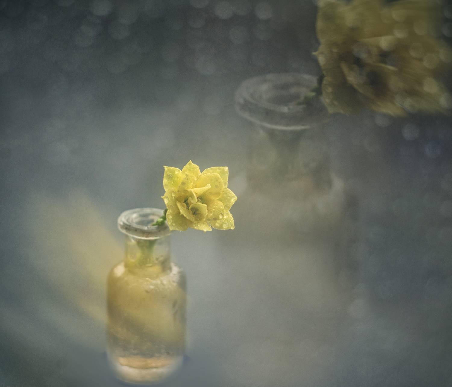 , Сигидова Ирина