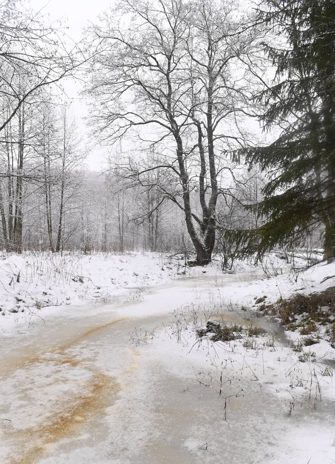 , Аникеев Владимир