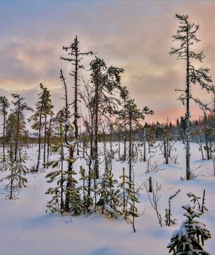 Зима пришла