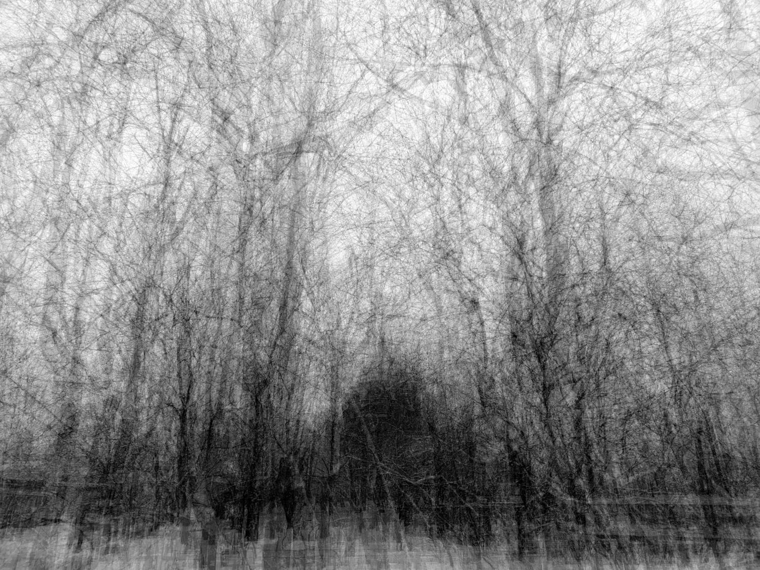 , Антон Лаба