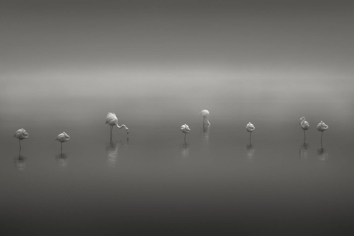 , de Franzoni Thomas