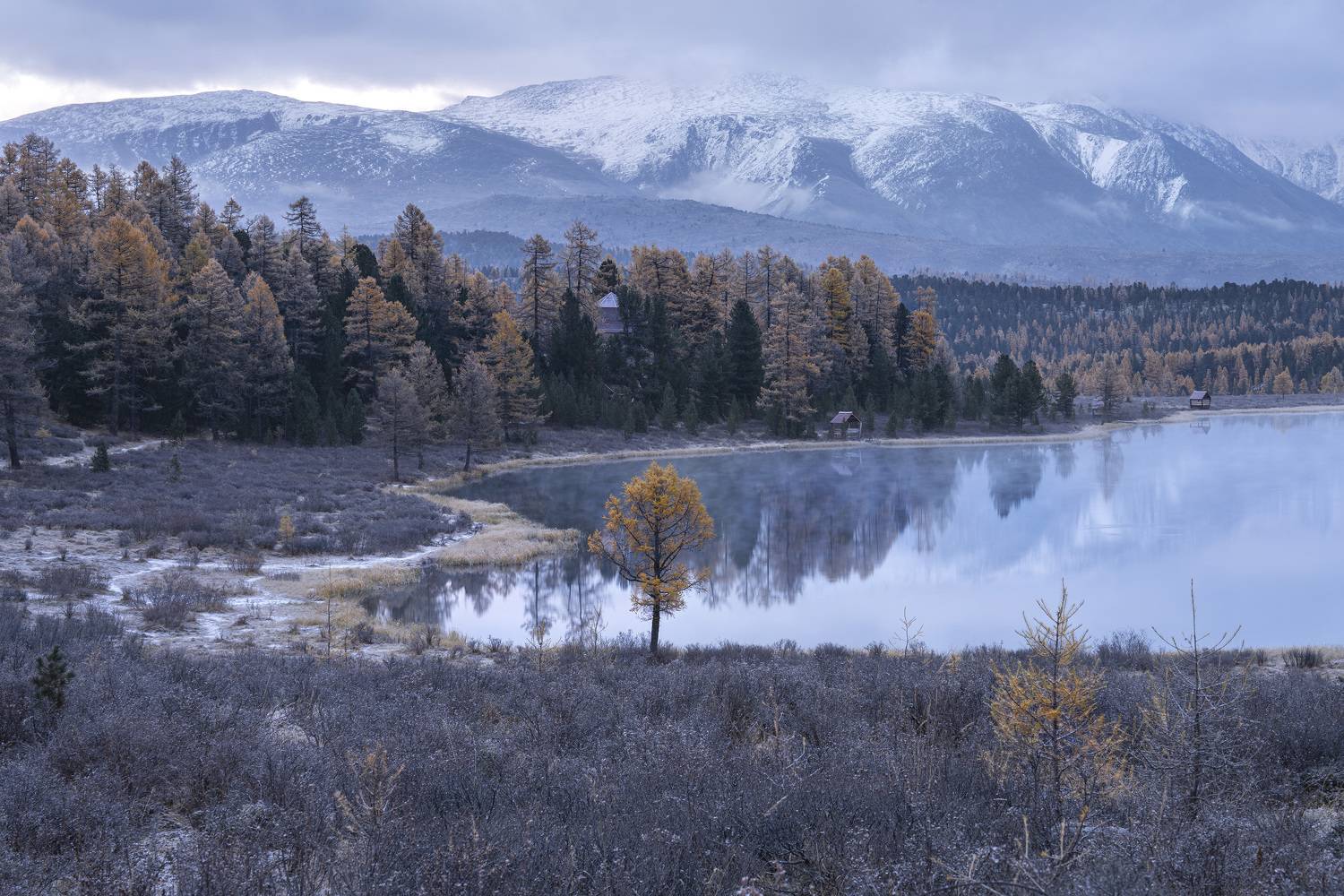 киделю, пейзаж, алтай, изморозь, улаганский перевал, улаган, Галина Дейнекина