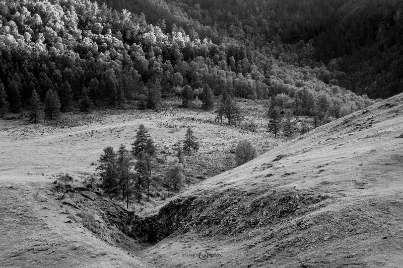 Алтайский пейзаж в чб фото превью