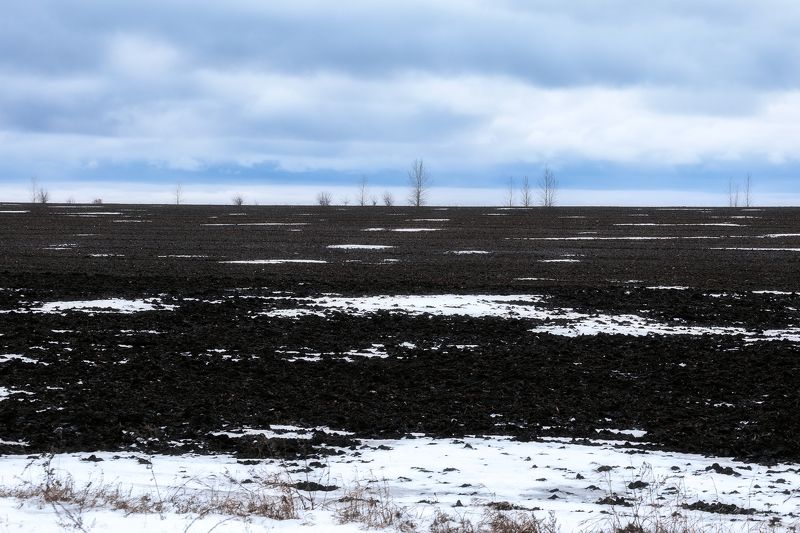 природа, зима, зимний пейзаж, теплая зима, Тульская область, пейзаж Странная зима в Тульской области фото превью