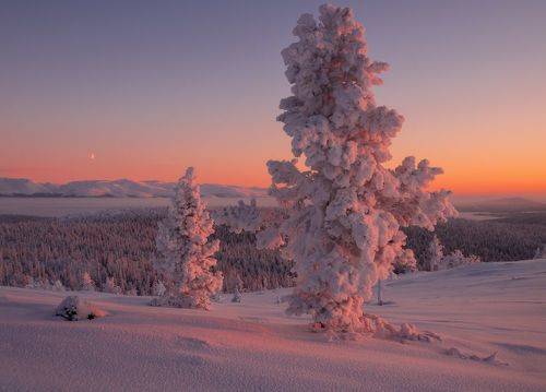 Морозное утро