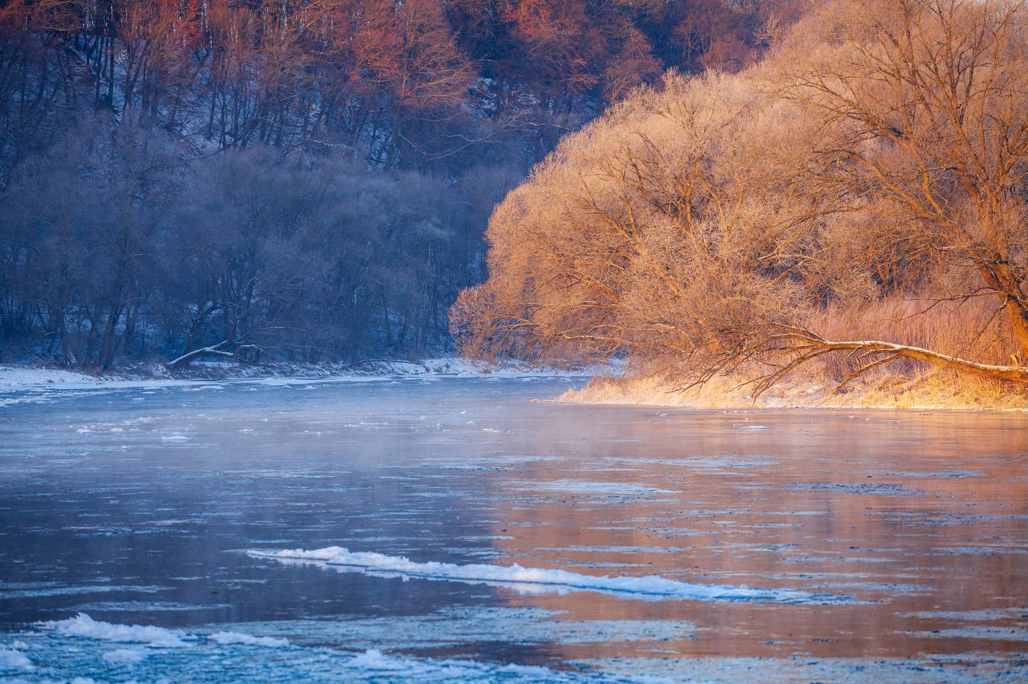 ,  Mirosław Pruchnicki