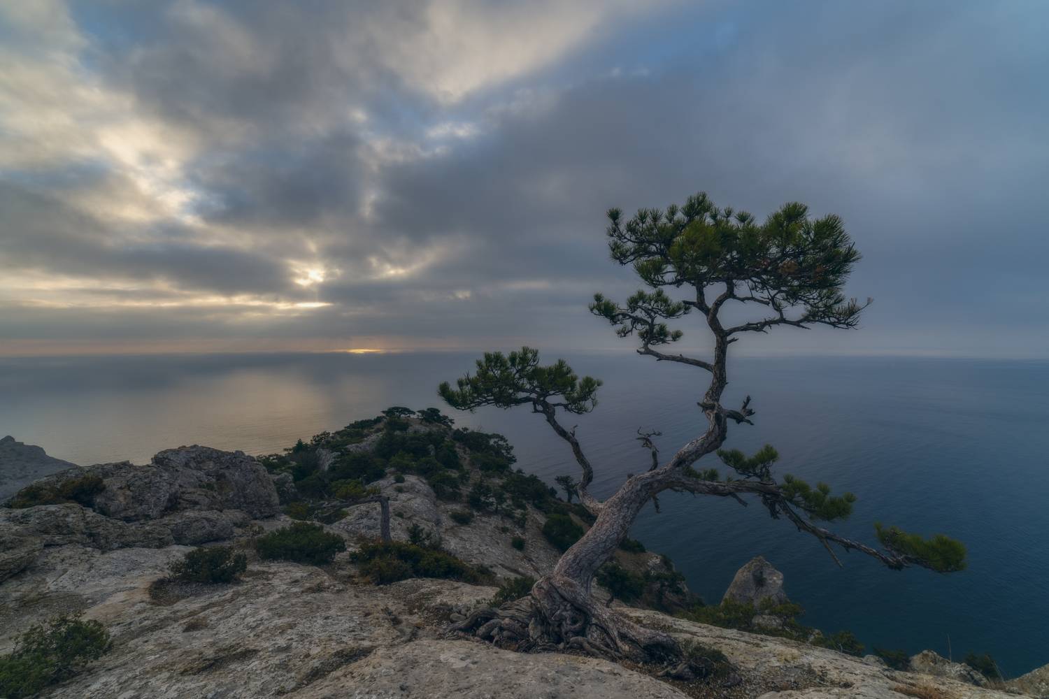 , Юлия Мальцева