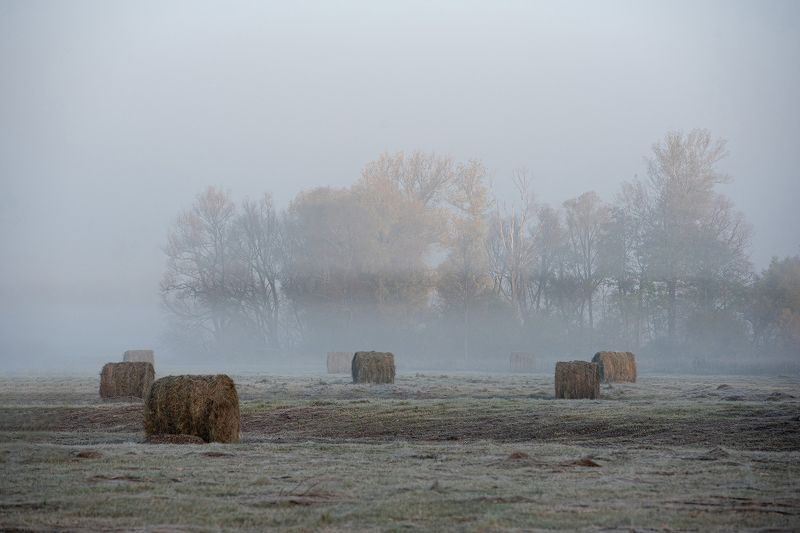 Туманная осень фото превью