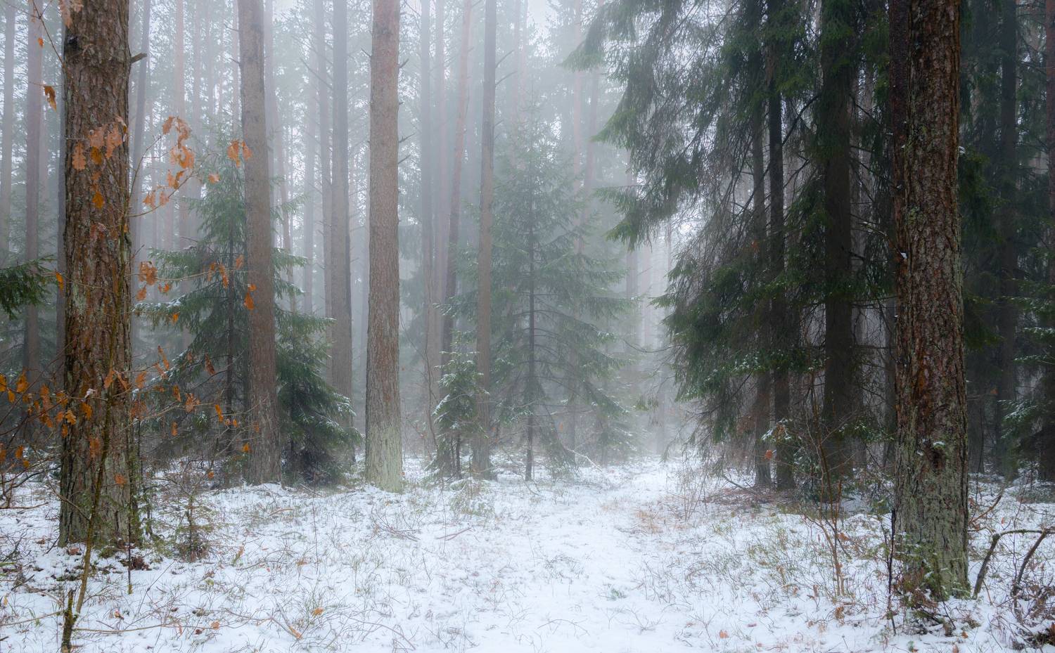 , Руслан Авдевич