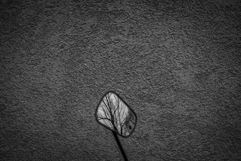 ... фото превью