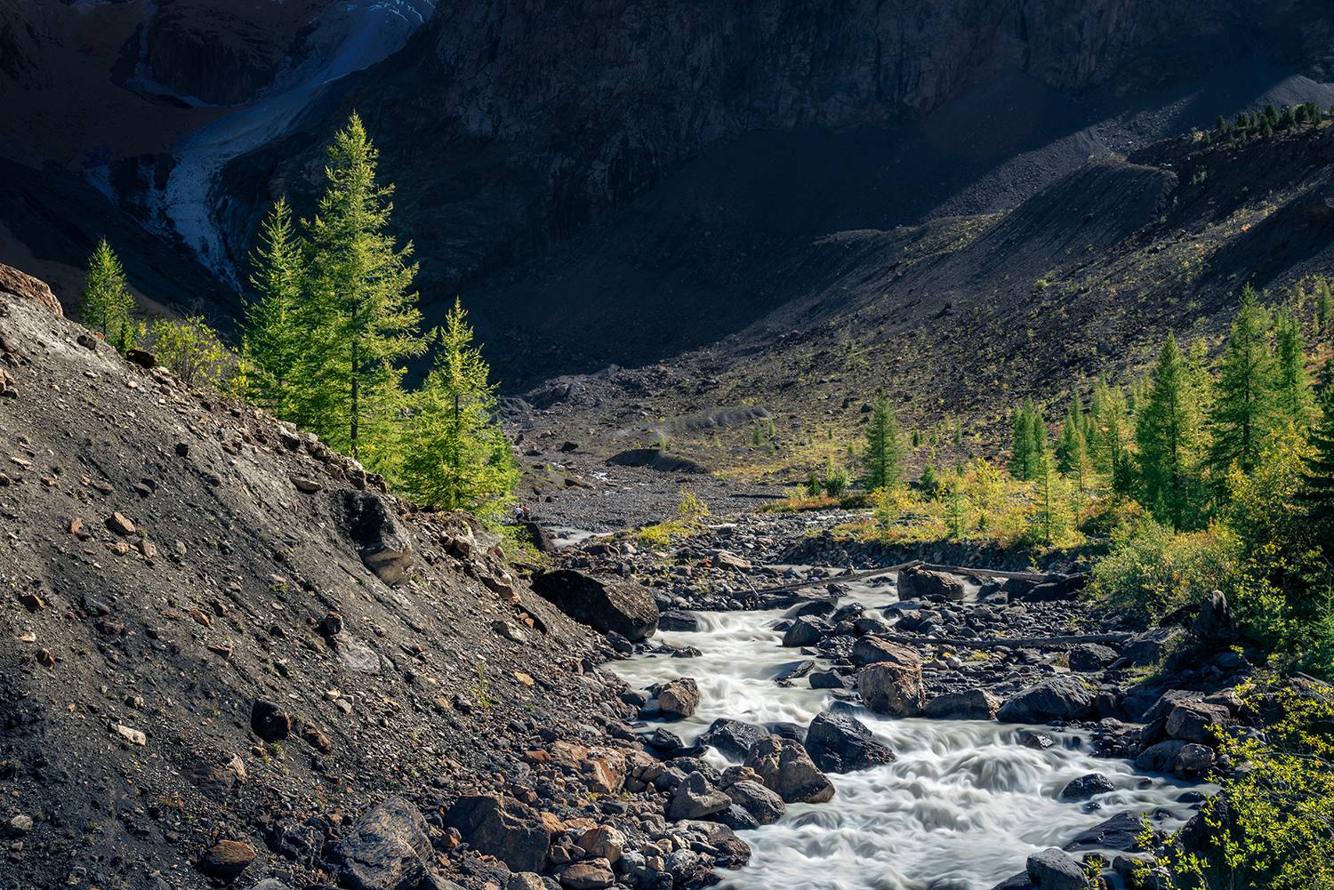 пейзаж, природа, горы, ущелье, река, камни, деревья, путешествия, актру, ледник, хребет, алтай, Антипов Дмитрий
