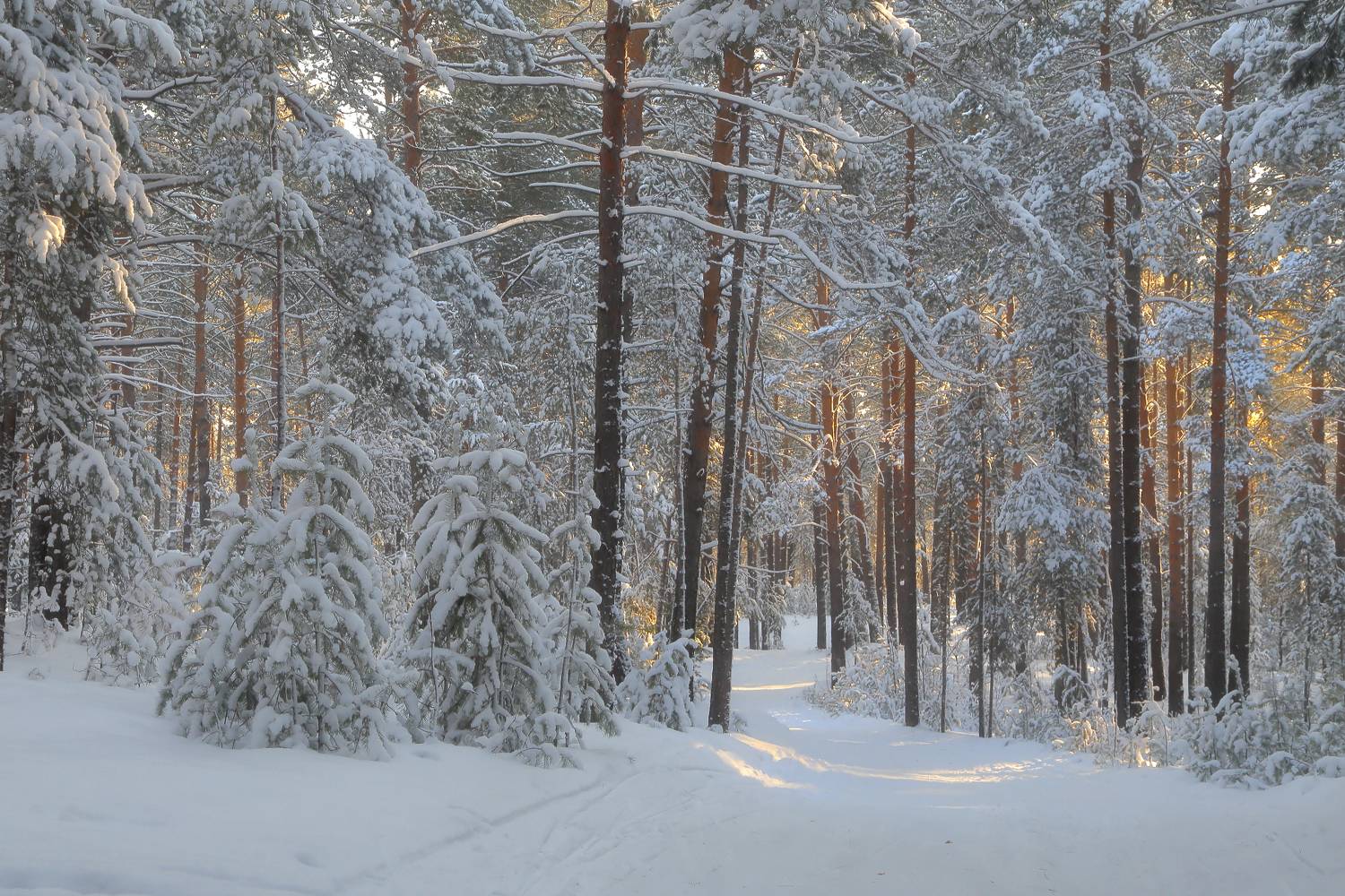 , Евгений Зинов