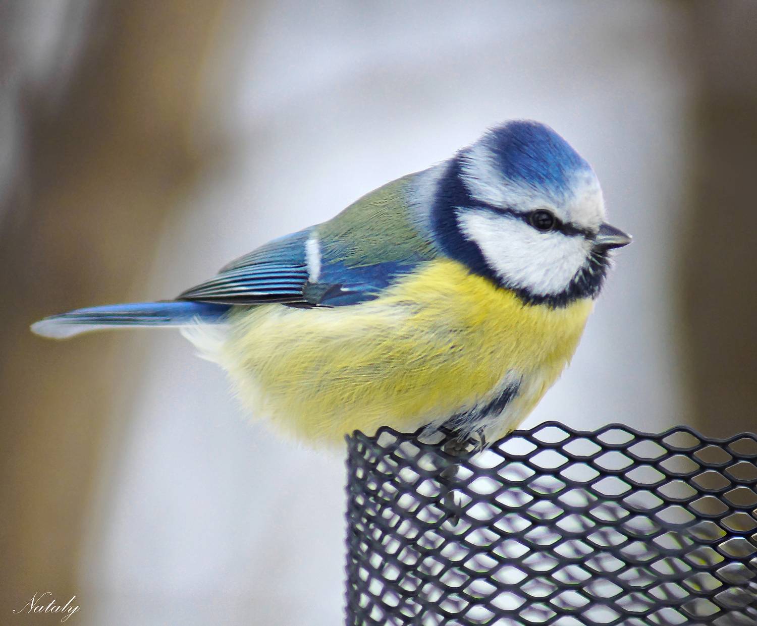 , Наталья Екимова