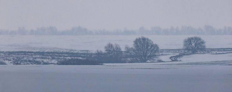 Затуманило... Припорошило... фото превью