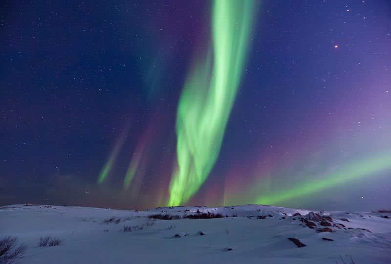 Новогоднее представление фото превью