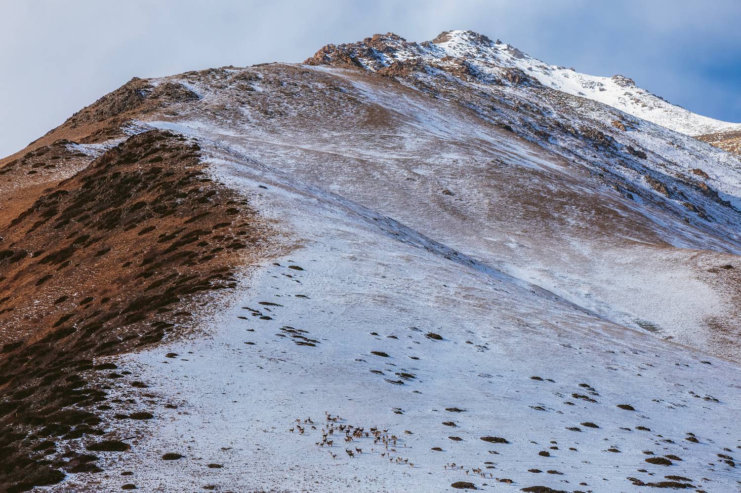 кыргызстан, ала-арча, Элина Магалимова