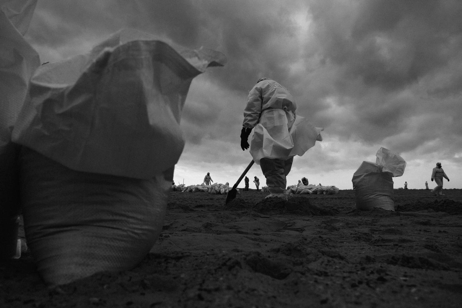 Черное море, волонтеры, ЧС, мазут, Елена Шевченко