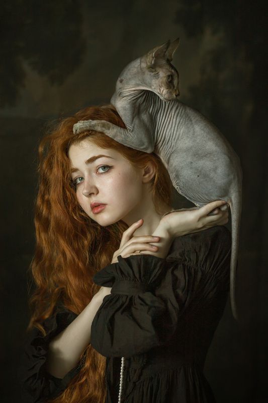 Котики фото превью