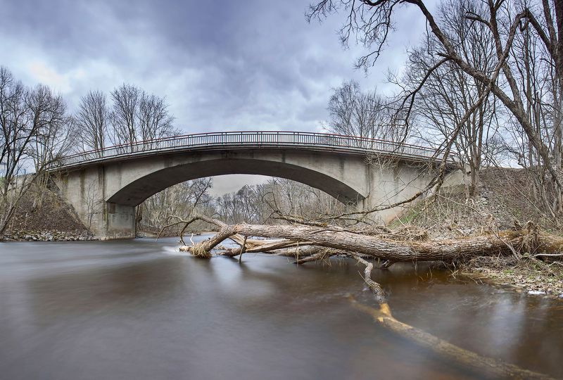 river,spring,fallen trees,long exposure Spring river фото превью